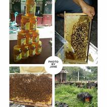 农家土蜂蜜