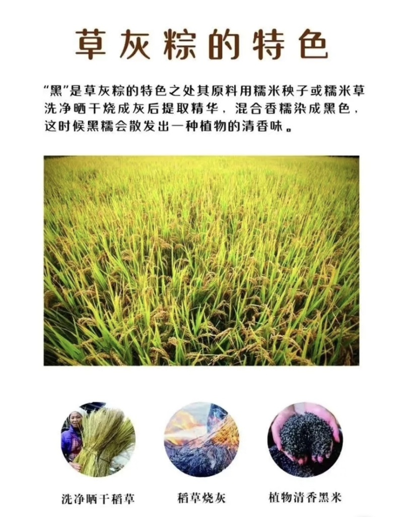 大糯粽子特产零售批发，支持代发，全国可以发货