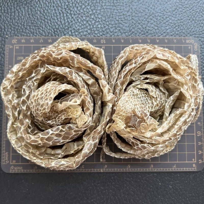 整条蛇蜕蛇皮食用皮蛇壳一条新鲜长1米左右蛇蛇皮中药老偏方