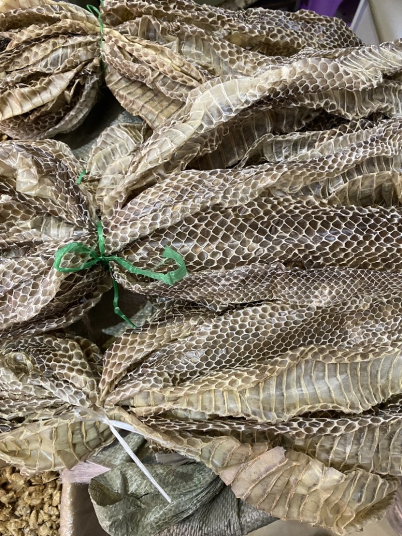 整条蛇蜕蛇皮食用皮蛇壳一条新鲜长1米左右蛇蛇皮中药老偏方