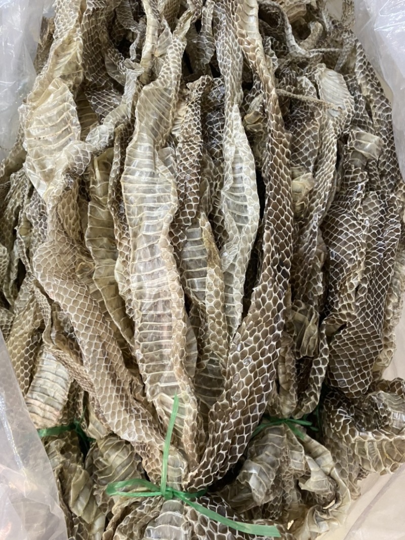 整条蛇蜕蛇皮食用皮蛇壳一条新鲜长1米左右蛇蛇皮中药老偏方