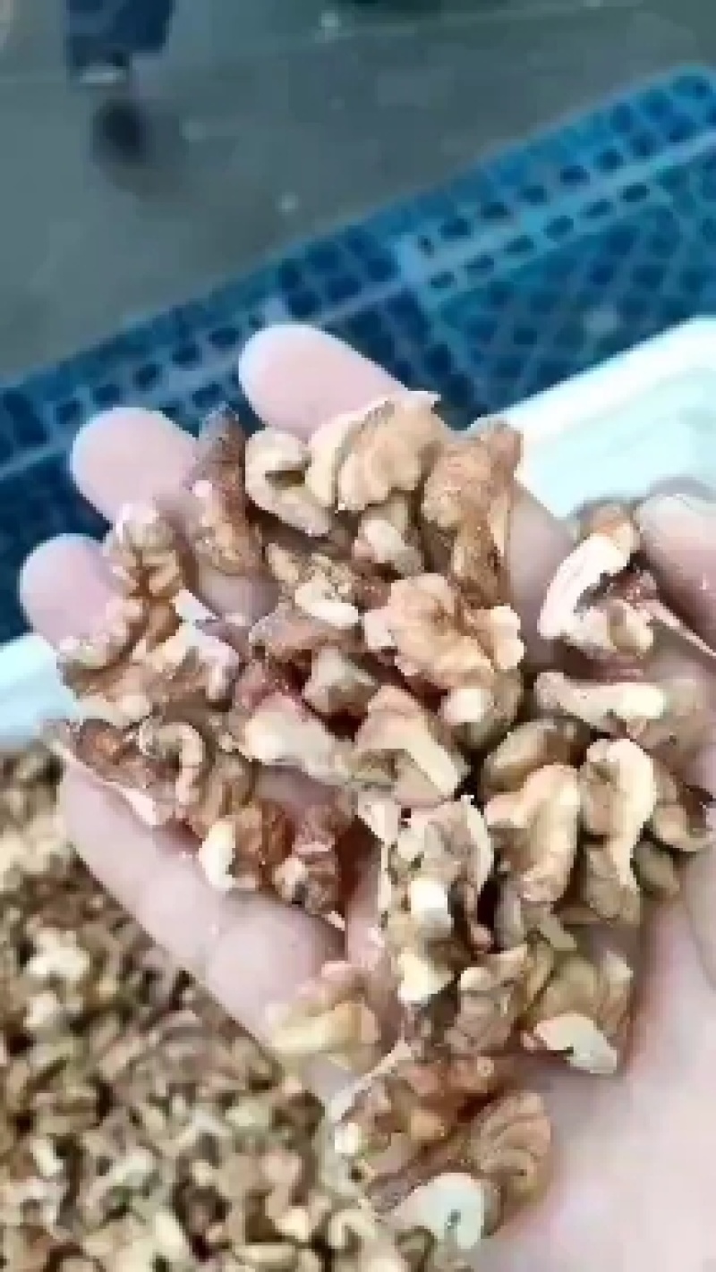 产地大量供应各种新疆，山西核桃仁，尖白普白次白油料。