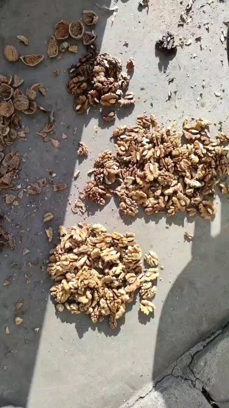 产地大量供应各种新疆，山西核桃仁，尖白普白次白油料。