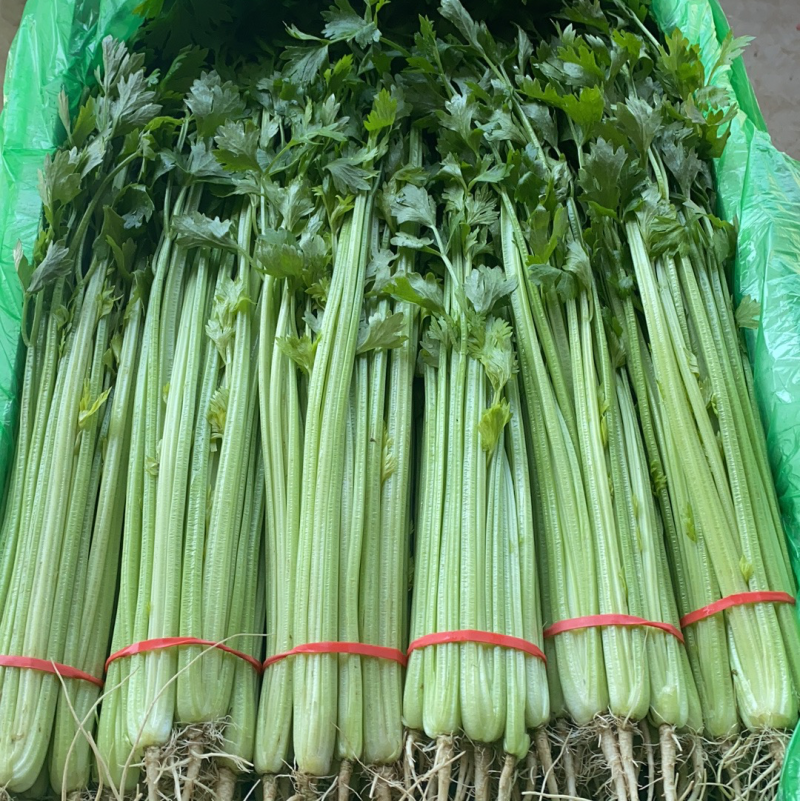 小香芹