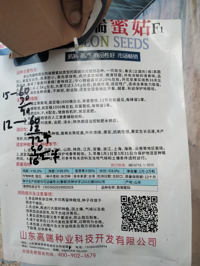玉菇甜瓜苗抗病高产当天包邮包成活苗厂直发提供技术指导