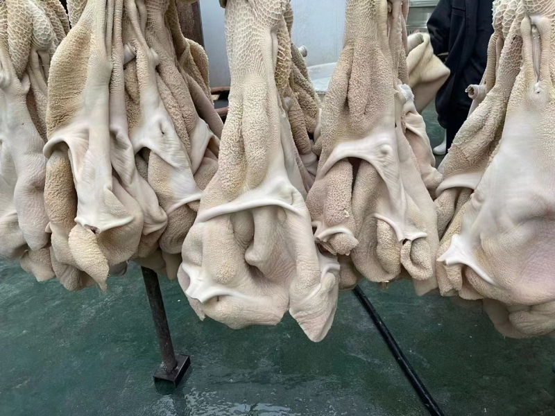 国产纯干纯水退水煮熟牛肚质量保证现货供应