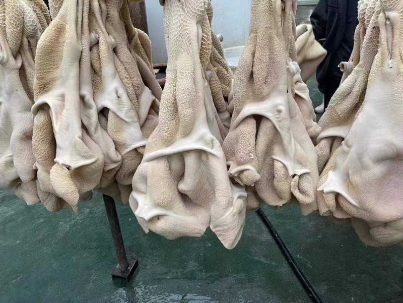 国产纯干纯水退水煮熟牛肚质量保证现货供应