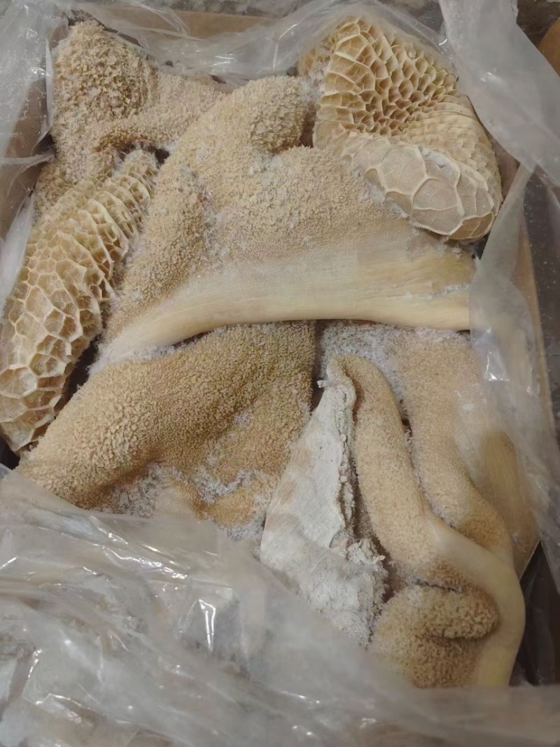 国产纯干纯水退水煮熟牛肚质量保证现货供应