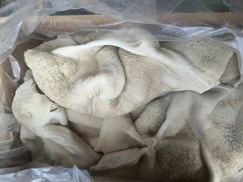 国产纯干纯水退水煮熟牛肚质量保证现货供应