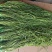 2024新货上市，贡菜，贡菜干，精品贡菜