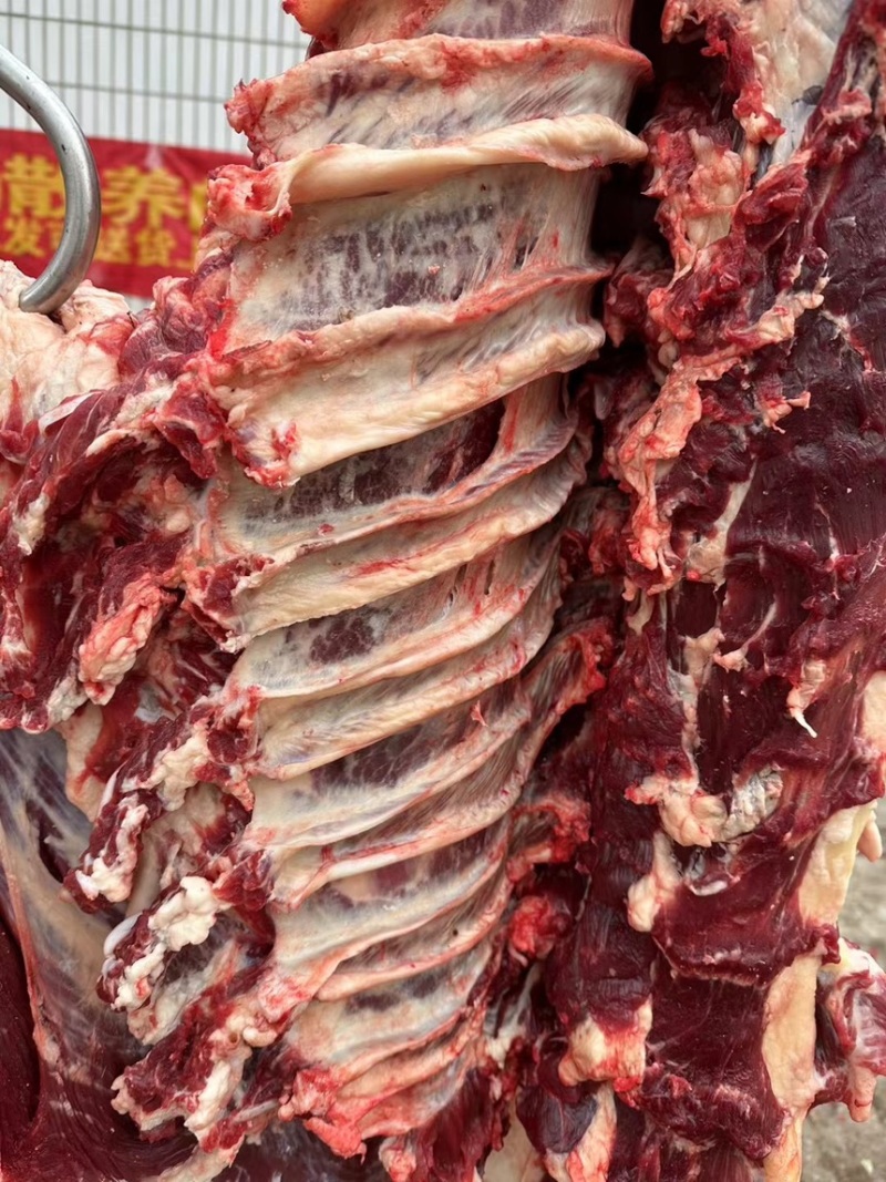 国产干鲜牛肉阿訇屠宰干无水牛肉量大从优自产自销