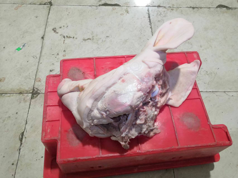 猪副产品～猪头，红白脏等