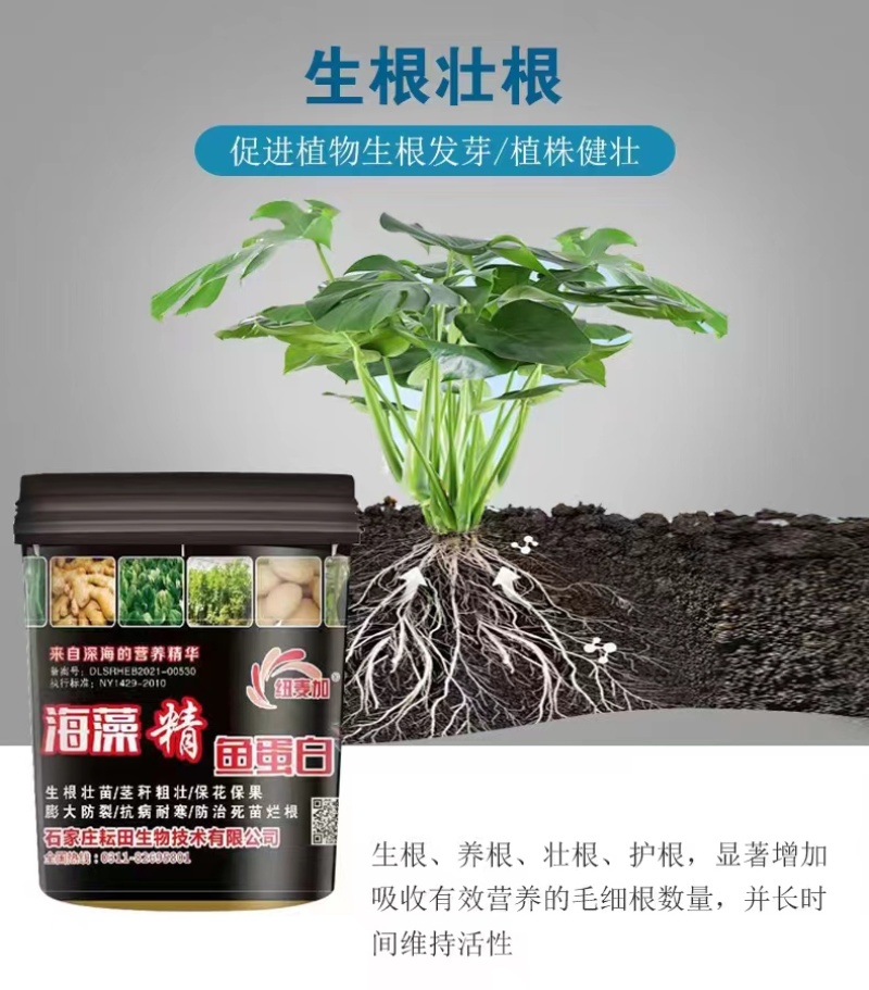海藻精鱼蛋白