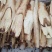 棕包米，棕呸，棕花，棕笋