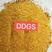 烘干玉米高蛋白DDGS，可替代部分玉米，降本增效。