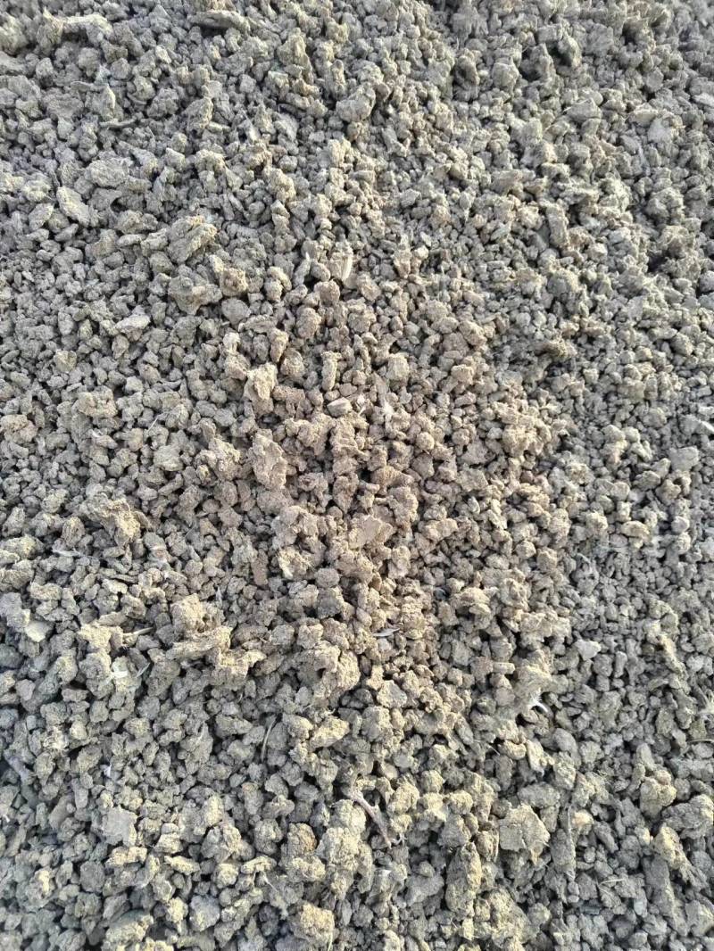纯干肉鸡粪100%欢迎新老客户
