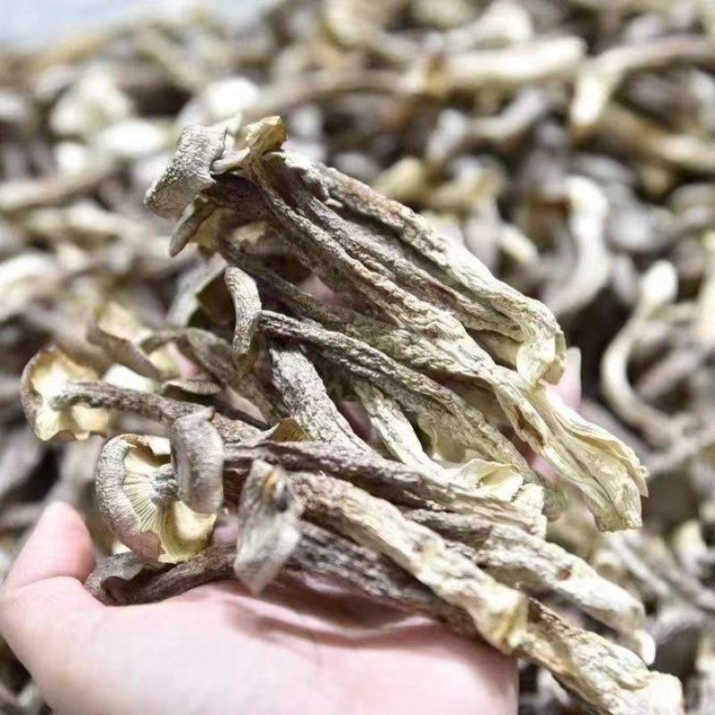 鹿茸菇干货脆嫩鹿茸菌云南特产无硫野生菌菇类菌菇煲汤煲