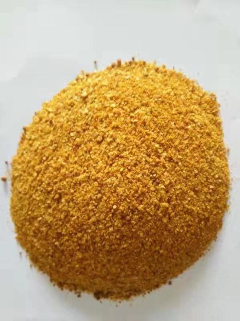 烘干玉米高蛋白DDGS，可替代部分玉米，降本增效。