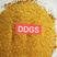烘干玉米高蛋白DDGS，可替代部分玉米，降本增效。