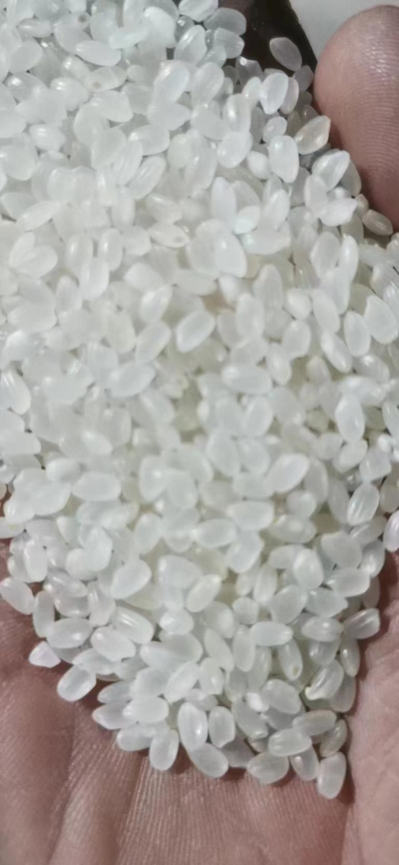 国产米多产地多品种多规格大米/碎米