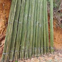 竹竿各种规格竹子，晒板竹，菜架竹，果撑，高竹等各类竹制工艺品