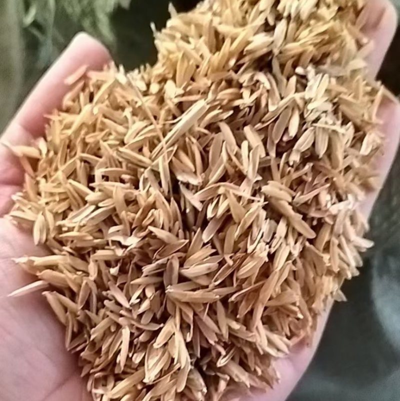 贵州贵阳大量净壳，欢迎洽谈