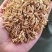 贵州贵阳大量净壳，欢迎洽谈