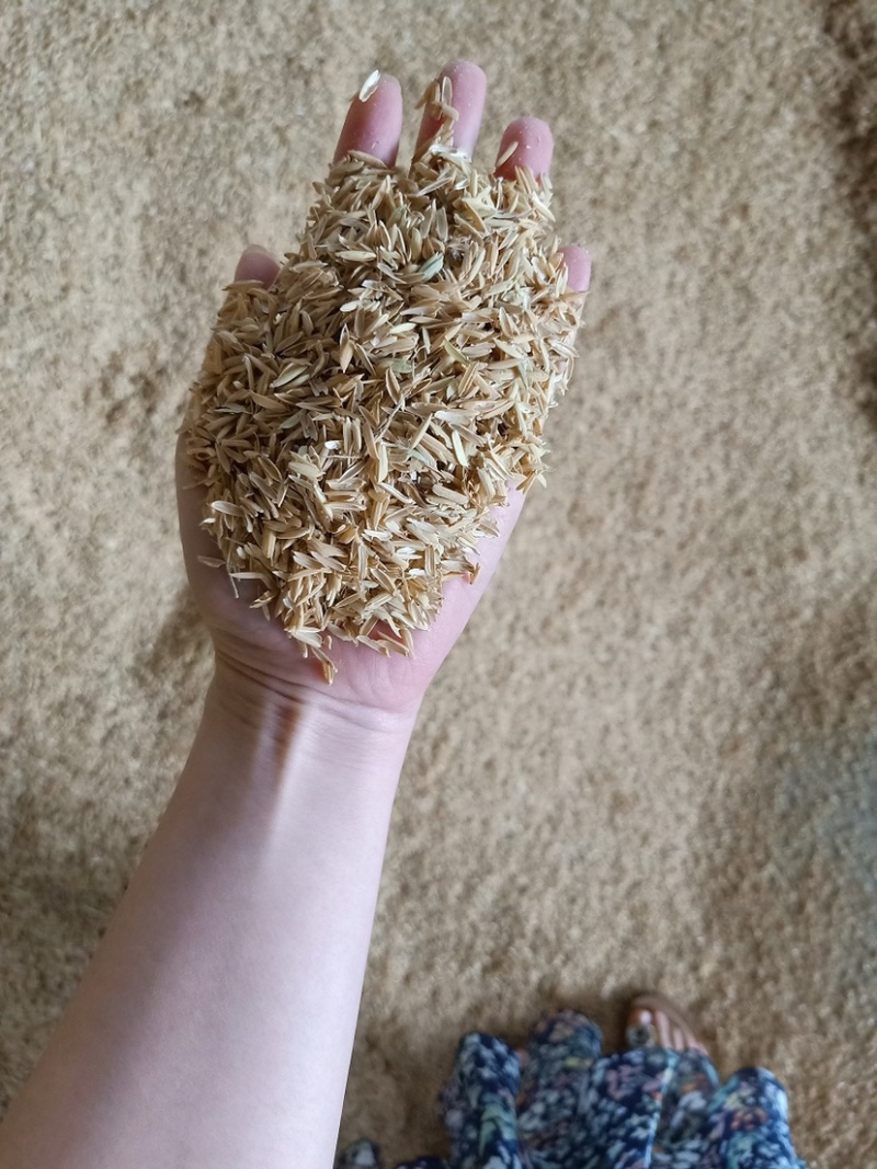 贵州贵阳大量净壳，欢迎洽谈