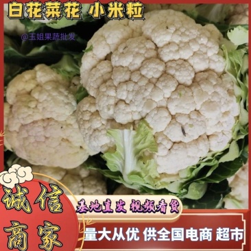白花菜花陕西城固菜花实力代发全国电商批发商超市