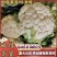 白花菜花陕西城固菜花实力代发全国电商批发商超市