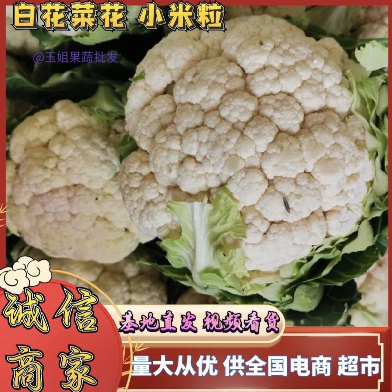 白花菜花陕西城固菜花实力代发全国电商批发商超市