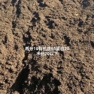 发酵好的油饼原料