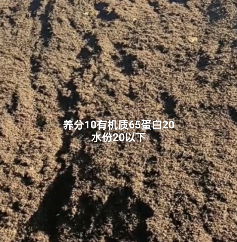 发酵好的油饼原料