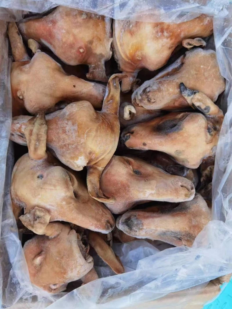 羊蹄羊脑各种羊副产品大量有货诚信经营欢迎来电