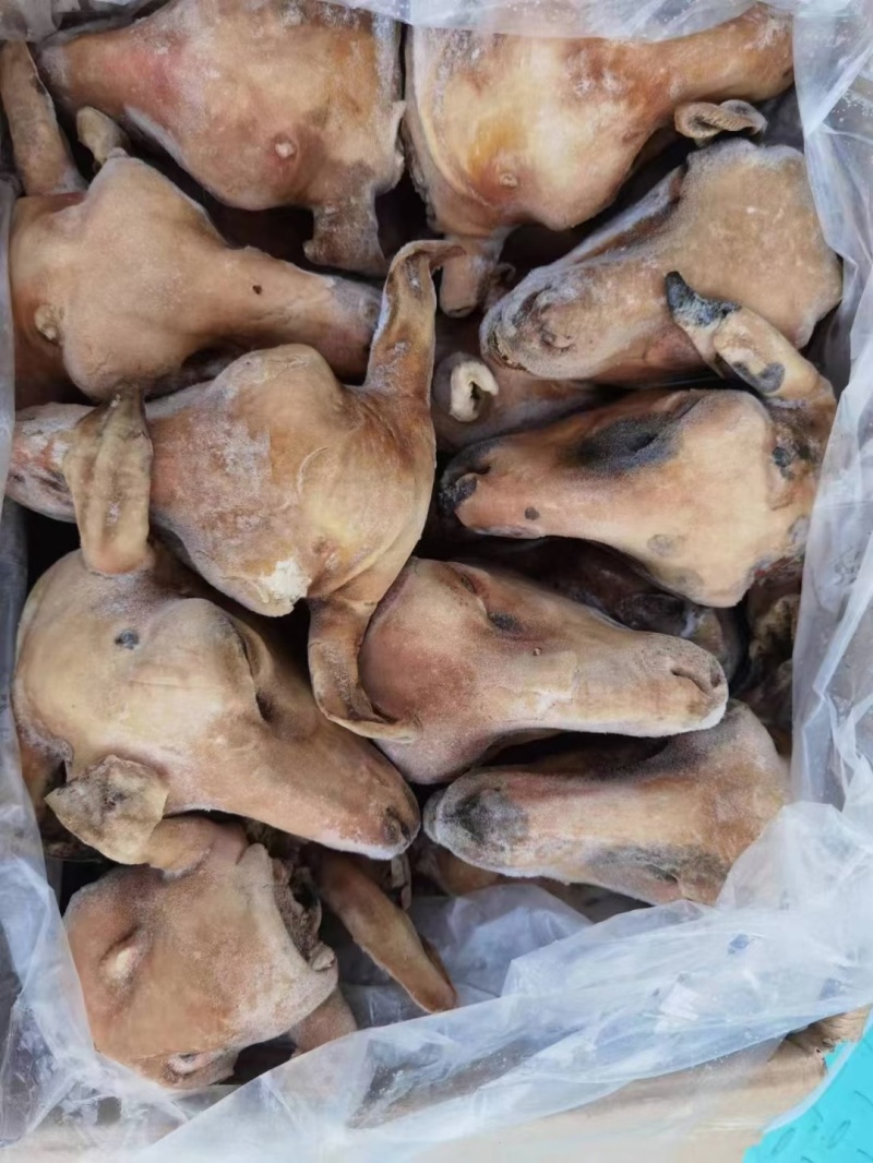羊蹄羊脑各种羊副产品大量有货诚信经营欢迎来电