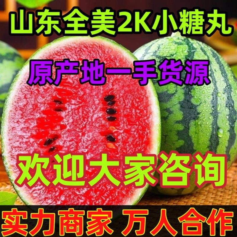 【万人合作】山东全美2K小糖丸西瓜大量上市！品质稳定
