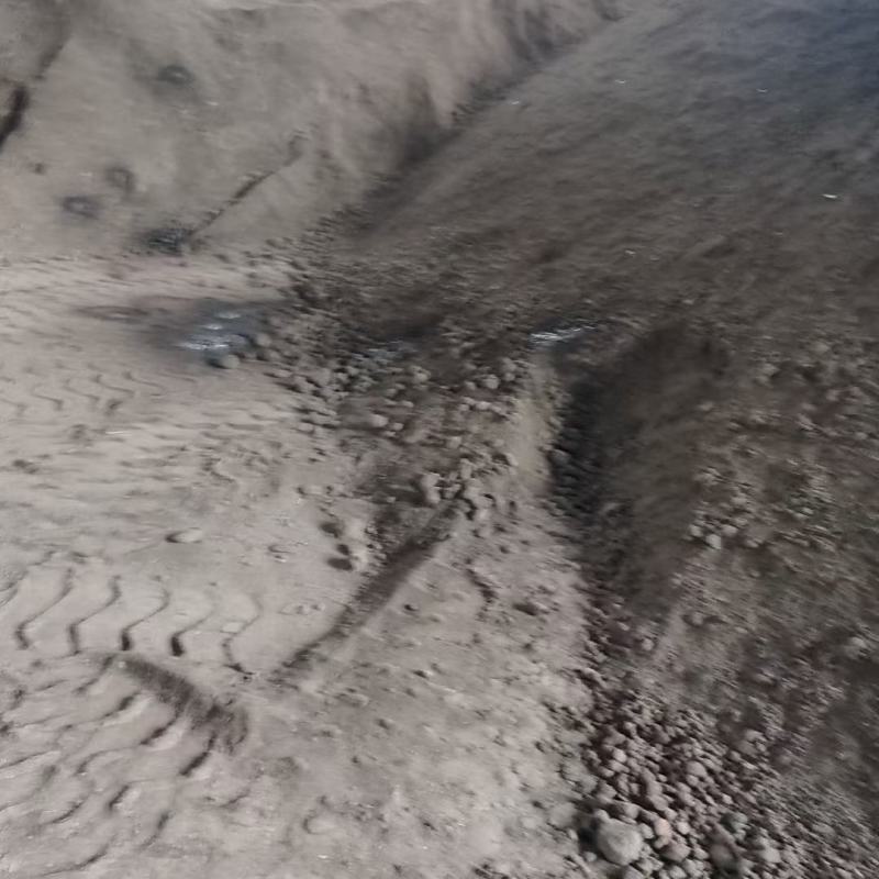 鸡粪