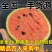 【万人合作】山东全美2K小糖丸西瓜大量上市！品质稳定