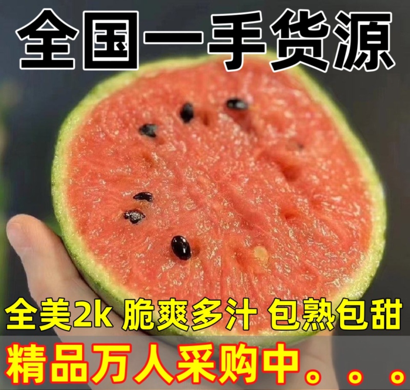 【万人合作】山东全美2K小糖丸西瓜大量上市！品质稳定