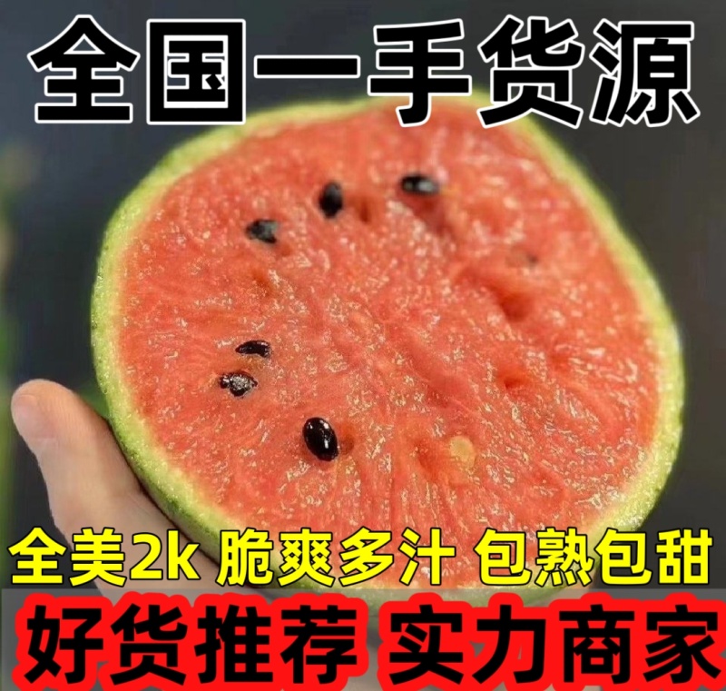 【万人合作】山东全美2K小糖丸西瓜大量上市！品质稳定
