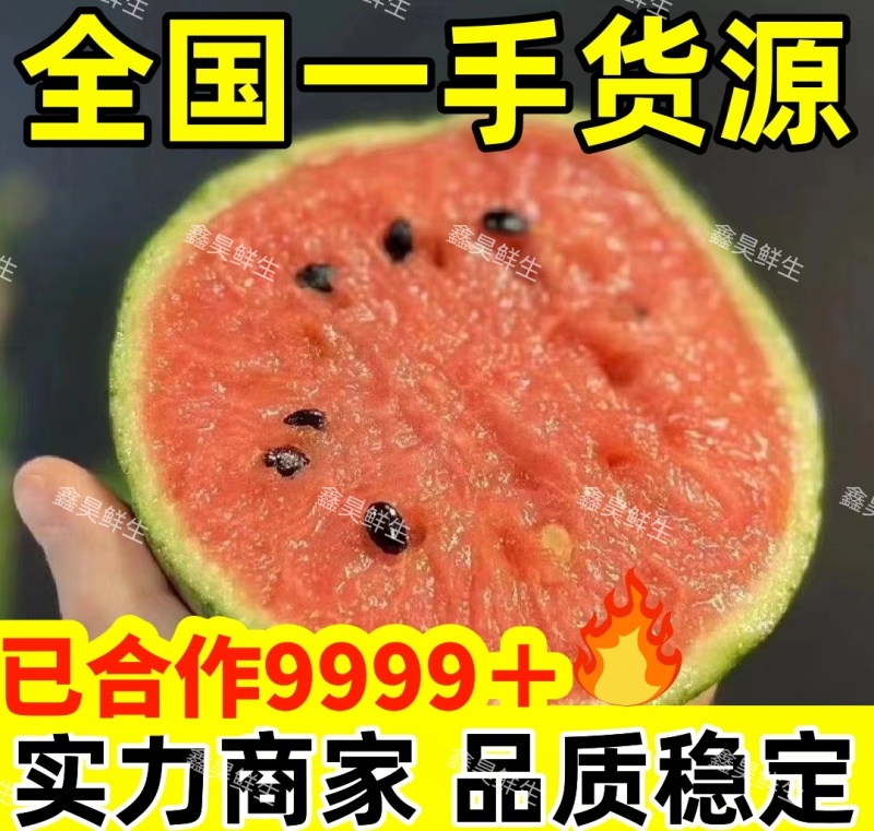 【万人合作】山东全美2K小糖丸西瓜大量上市！品质稳定