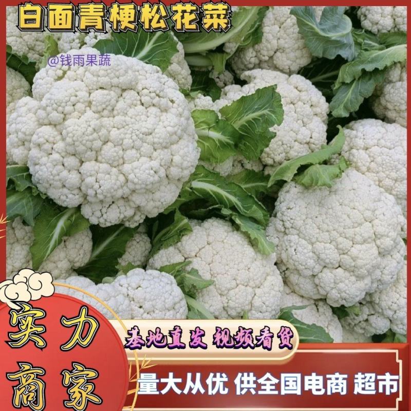 江苏徐州菜花有机松花菜白面青梗松花菜货源充足实力发