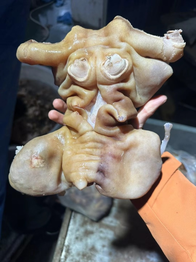 【熟食牛蹄】熟牛蹄厂家直销一手货源