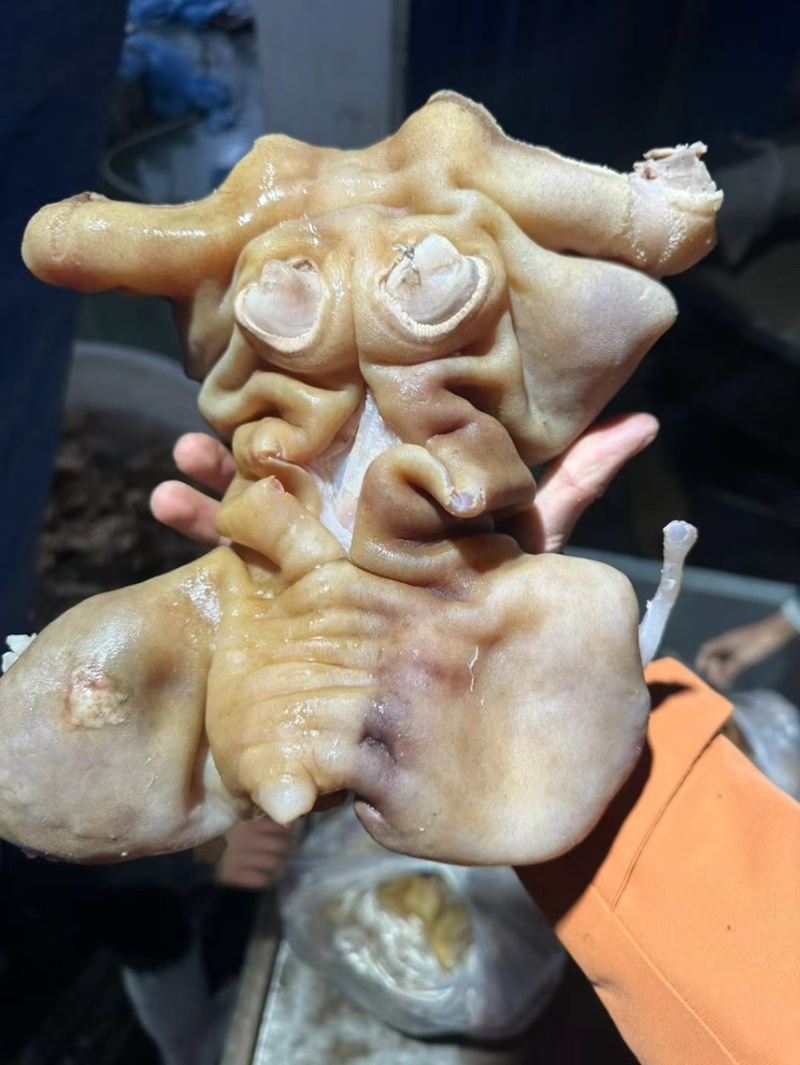 【熟食牛蹄】熟牛蹄厂家直销一手货源