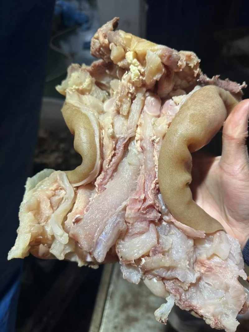 【熟食牛蹄】熟牛蹄厂家直销一手货源