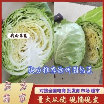 江苏徐州甘蓝圆包菜绿甘蓝中甘甘蓝实力代发全国商超
