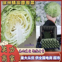 徐州甘蓝，徐州包菜，精品甘蓝圆包菜，兰州包甘蓝