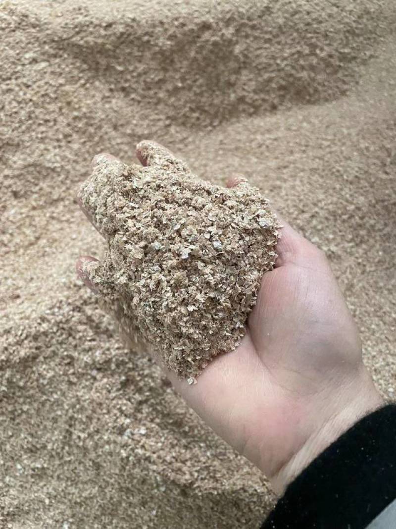 优质麸皮欢迎询价下单