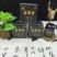 正宗梅花鹿鹿乡正品鹿鞭膏一瓶300克产地直发