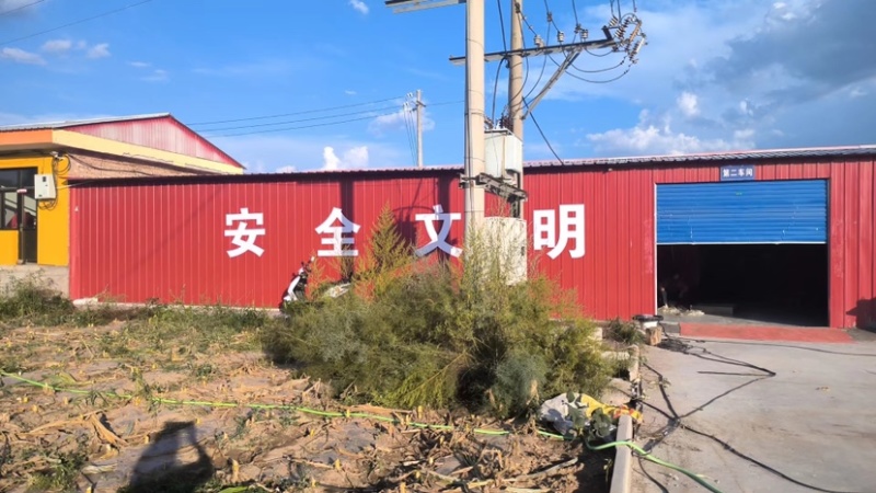 山西冷冻玉米，价格真实，欢迎全国朋友前来考察